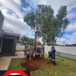 WhatsApp Image 2026-02-03 at 10.17.07 (1)